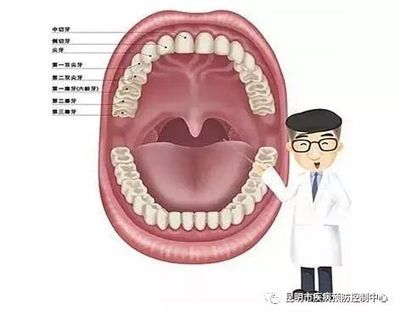 科學規范護牙齒 健康口腔助成長